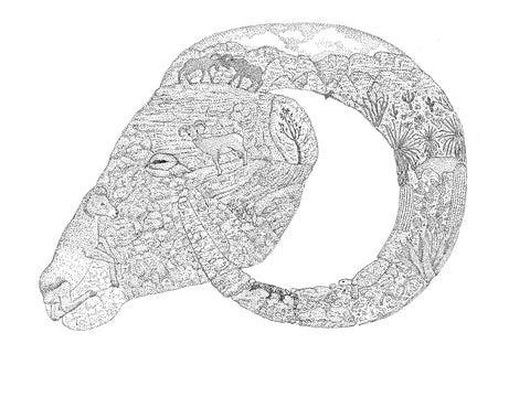 Ram (8.5 x 11 inches)