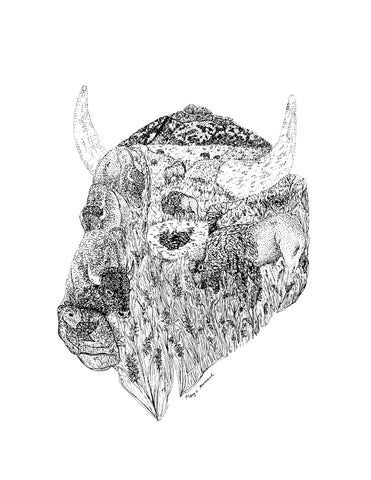 Buffalo Print (8.5 x 11)