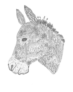 Donkey (8.5 x 11)