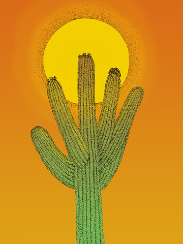 Cactus: Reaching for the Sun