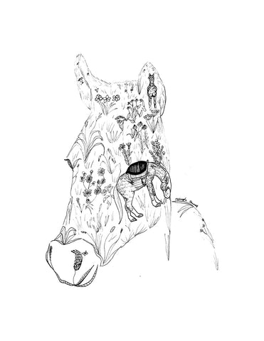 Foal print (8.5 x 11 in)