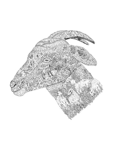 Goat print (8.5 x 11in)