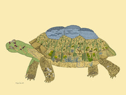 16 x 20 in Sonoran Desert Tortoise