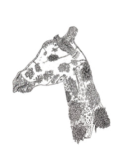 Giraffe Print (8.5 x 11)