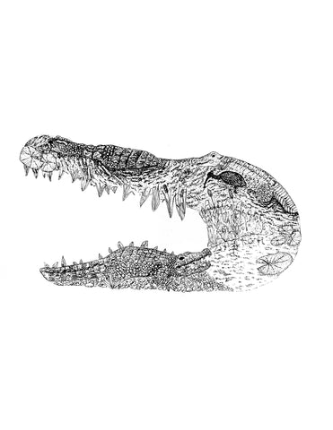 Alligator print (8.5 x 11)