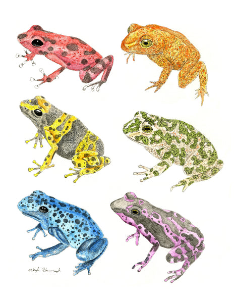 Frog Print (9x12)