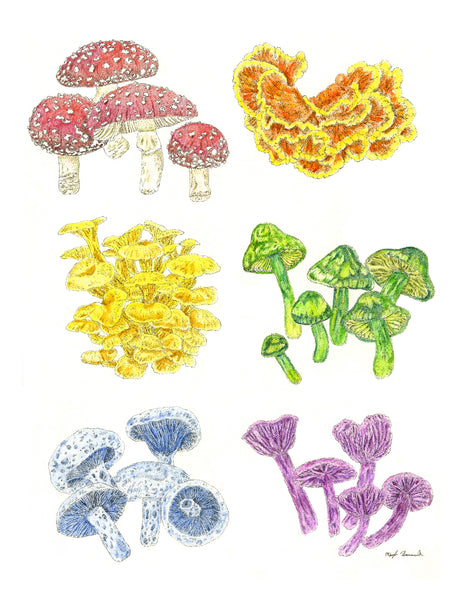 Mushrooms Watercolor Print (9x 12)